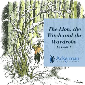 The Lion, the Witch and the Wardrobe - Lesson 1