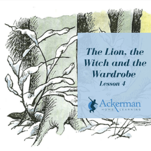 The Lion, the Witch and the Wardrobe - Lesson 4