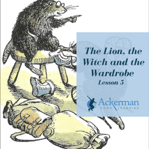 The Lion, the Witch and the Wardrobe - Lesson 5