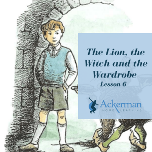 The Lion, the Witch and the Wardrobe - Lesson 6