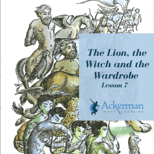 The Lion, the Witch and the Wardrobe - Lesson 7