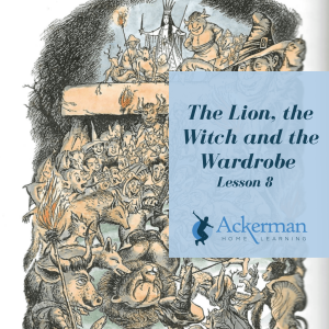 The Lion, the Witch and the Wardrobe - Lesson 8