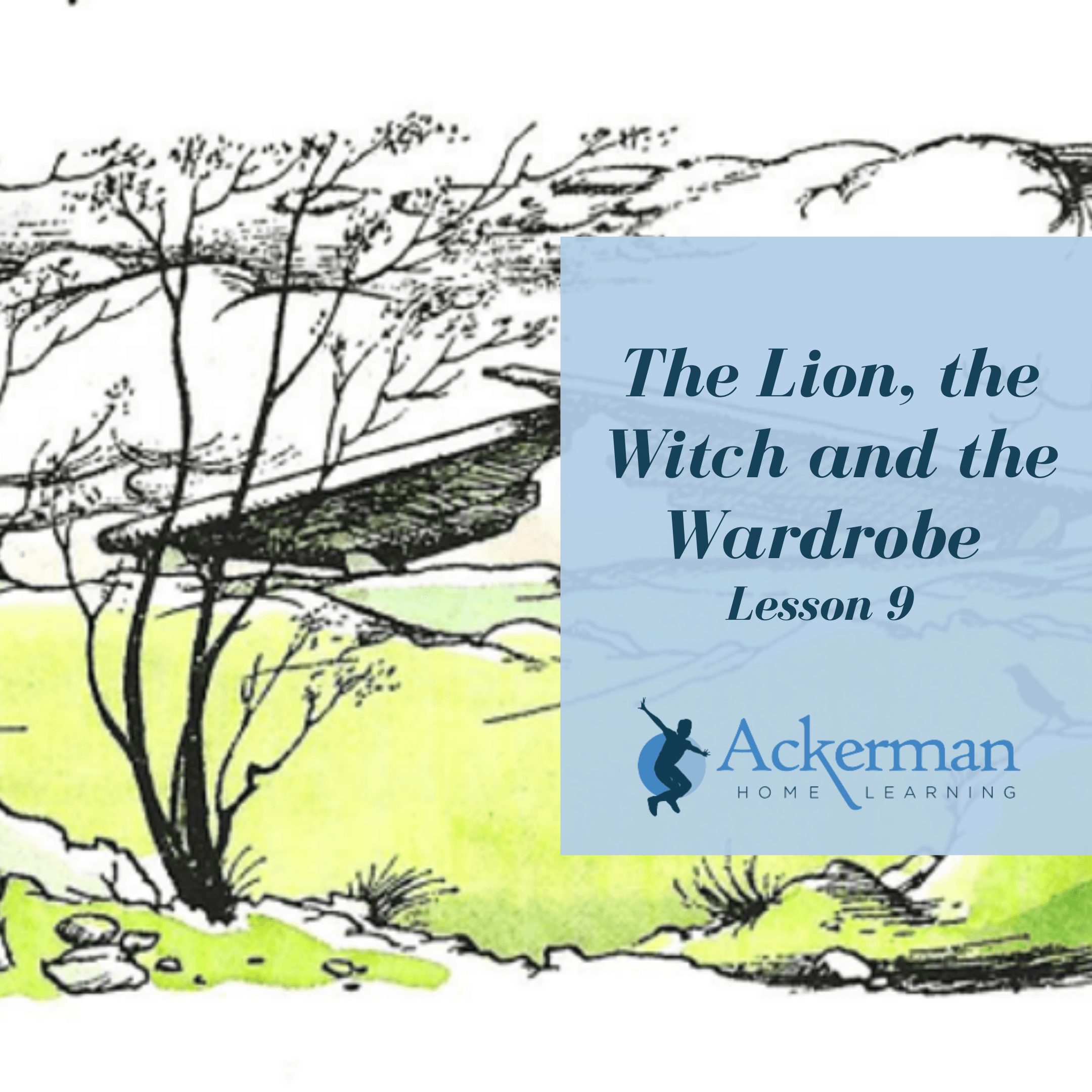 The Lion, the Witch and the Wardrobe - Lesson 9