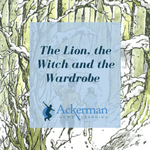 The Lion, the Witch and the Wardrobe Bundle