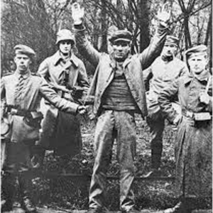 The German Revolution