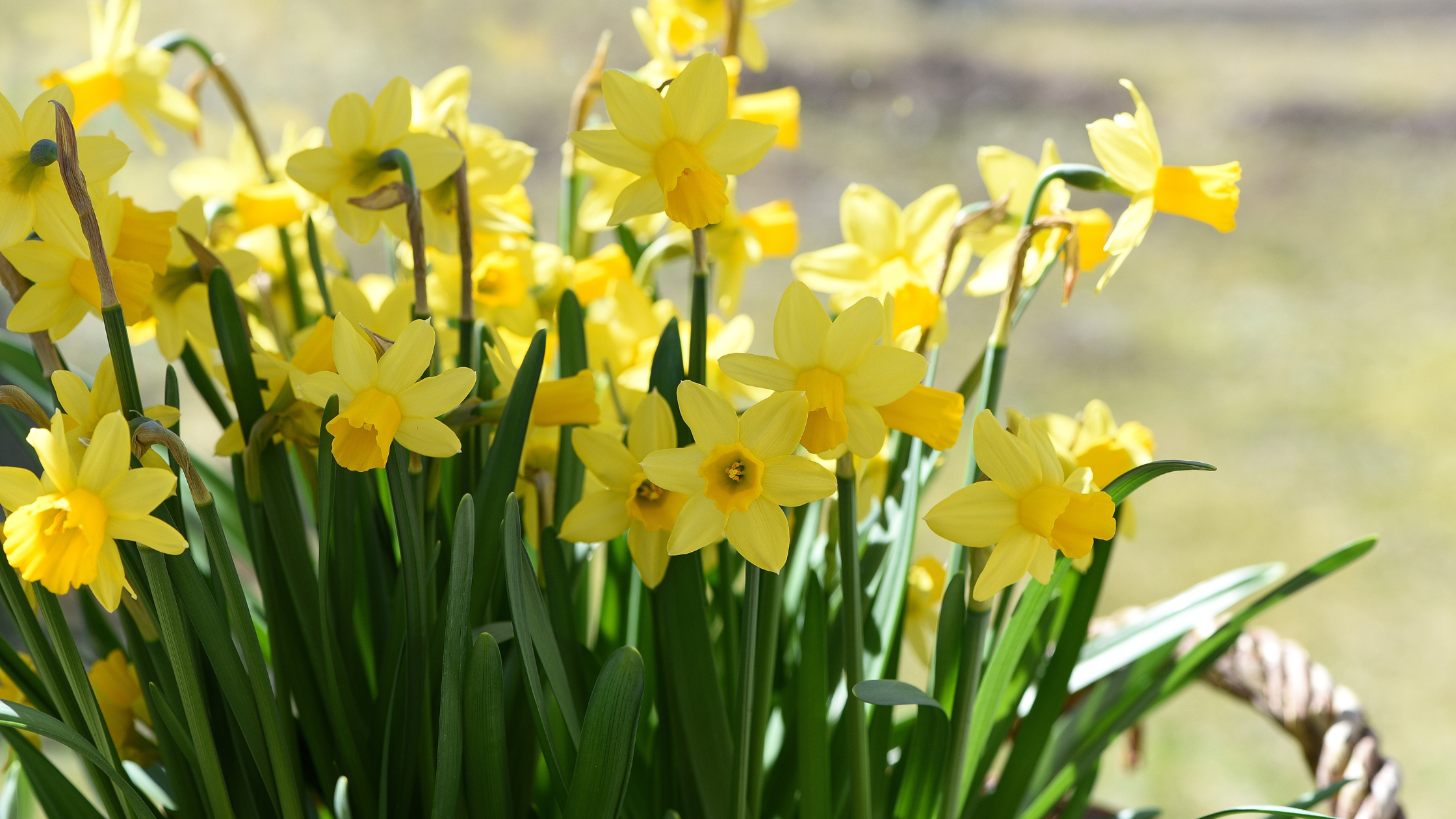 EFEC7907-B366-4350-8754-C28F59E089CA