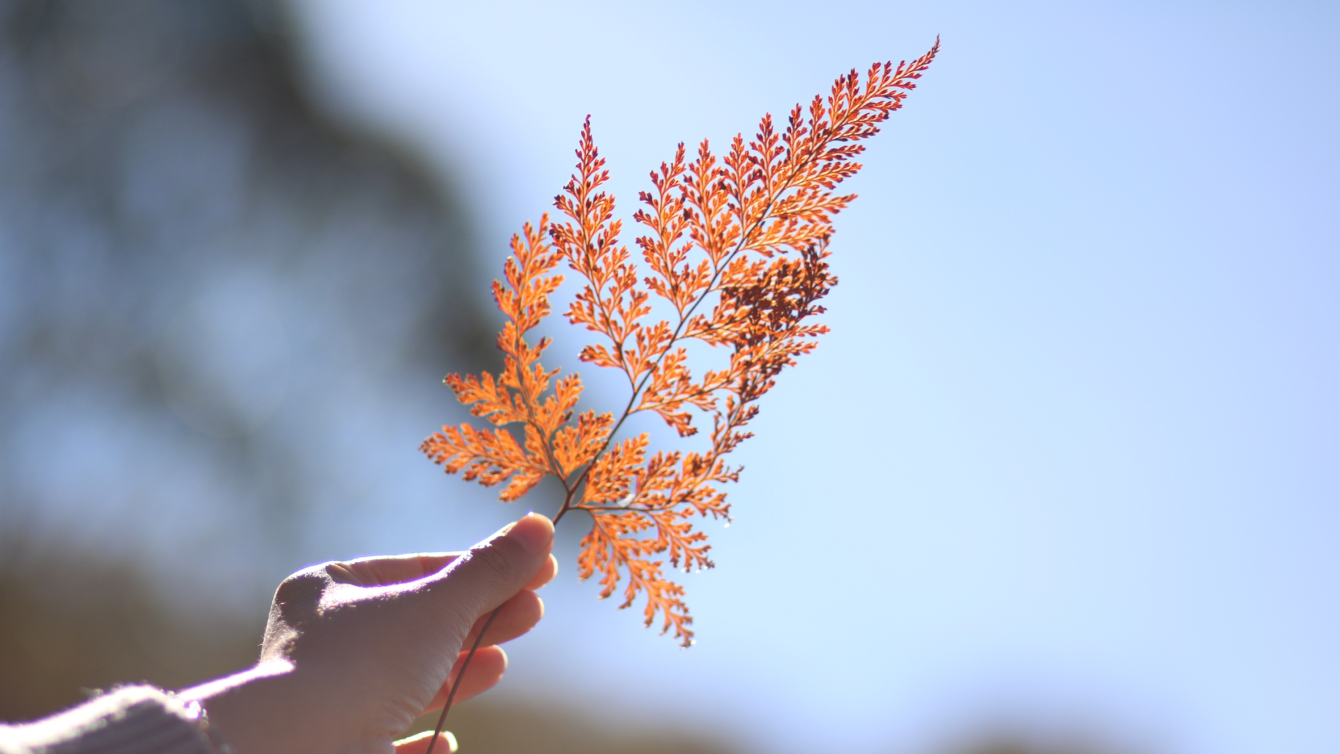 F171FE9A-40A5-420B-8016-713F2EA91457